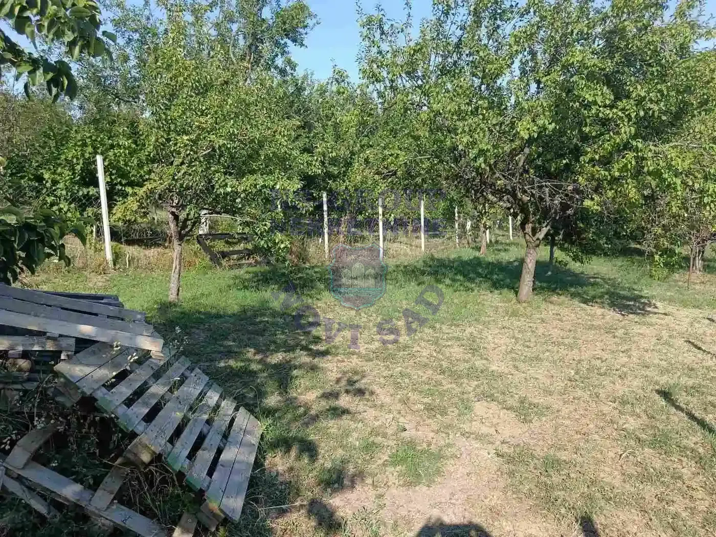 kuca na prodaju Divoš 80m2 550913