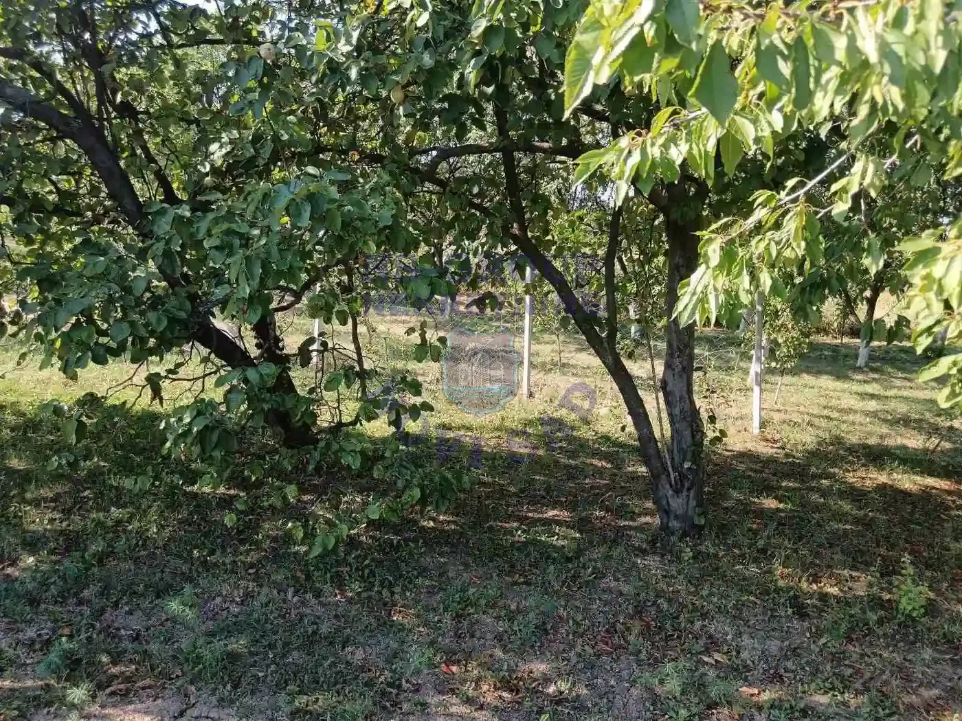 kuca na prodaju Divoš 80m2 550913
