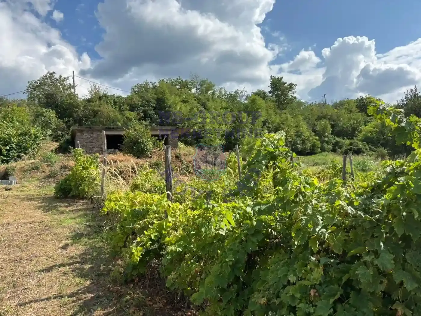 plac na prodaju Ledinci 858m2 552325