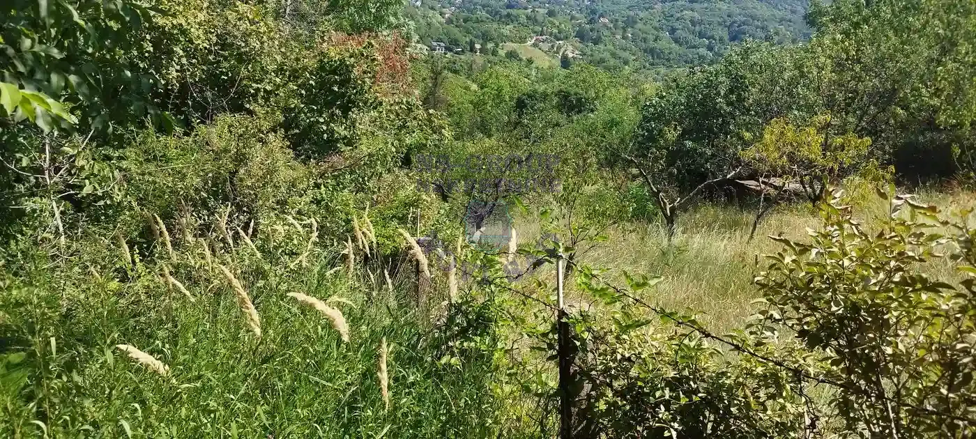 plac na prodaju Sremska Kamenica 2564m2 552387