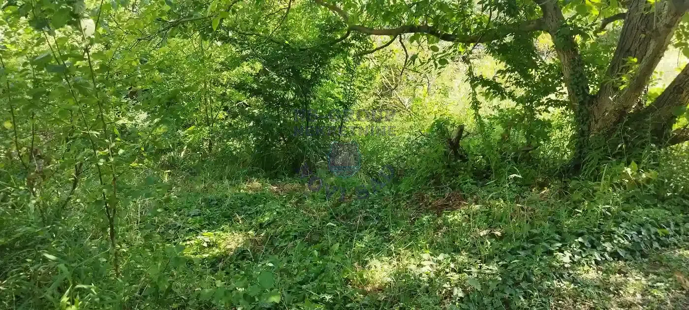 plac na prodaju Sremska Kamenica 2564m2 552387