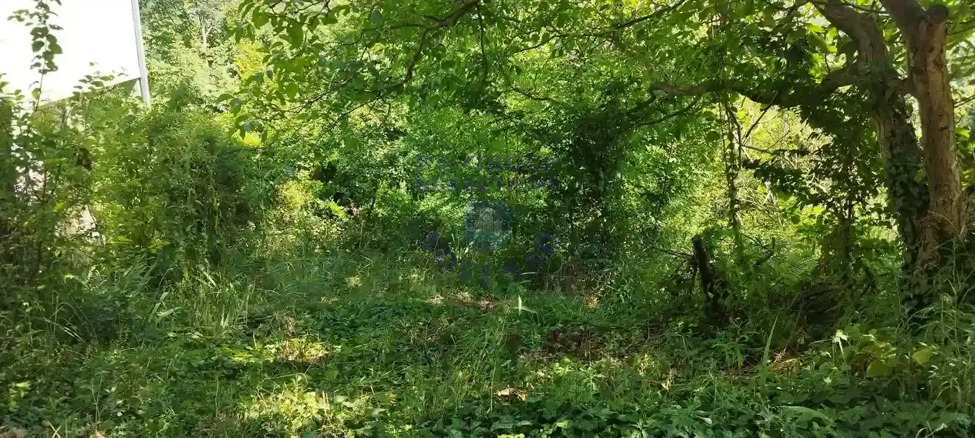 plac na prodaju Sremska Kamenica 2564m2 552387