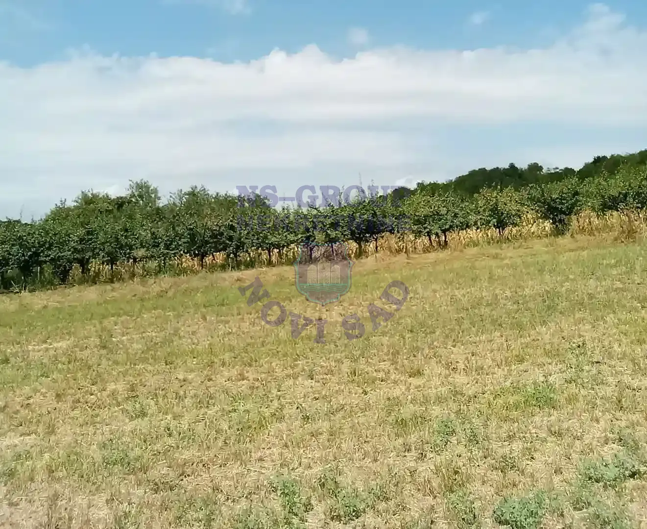 plac na prodaju Vrdnik 14821m2 524227