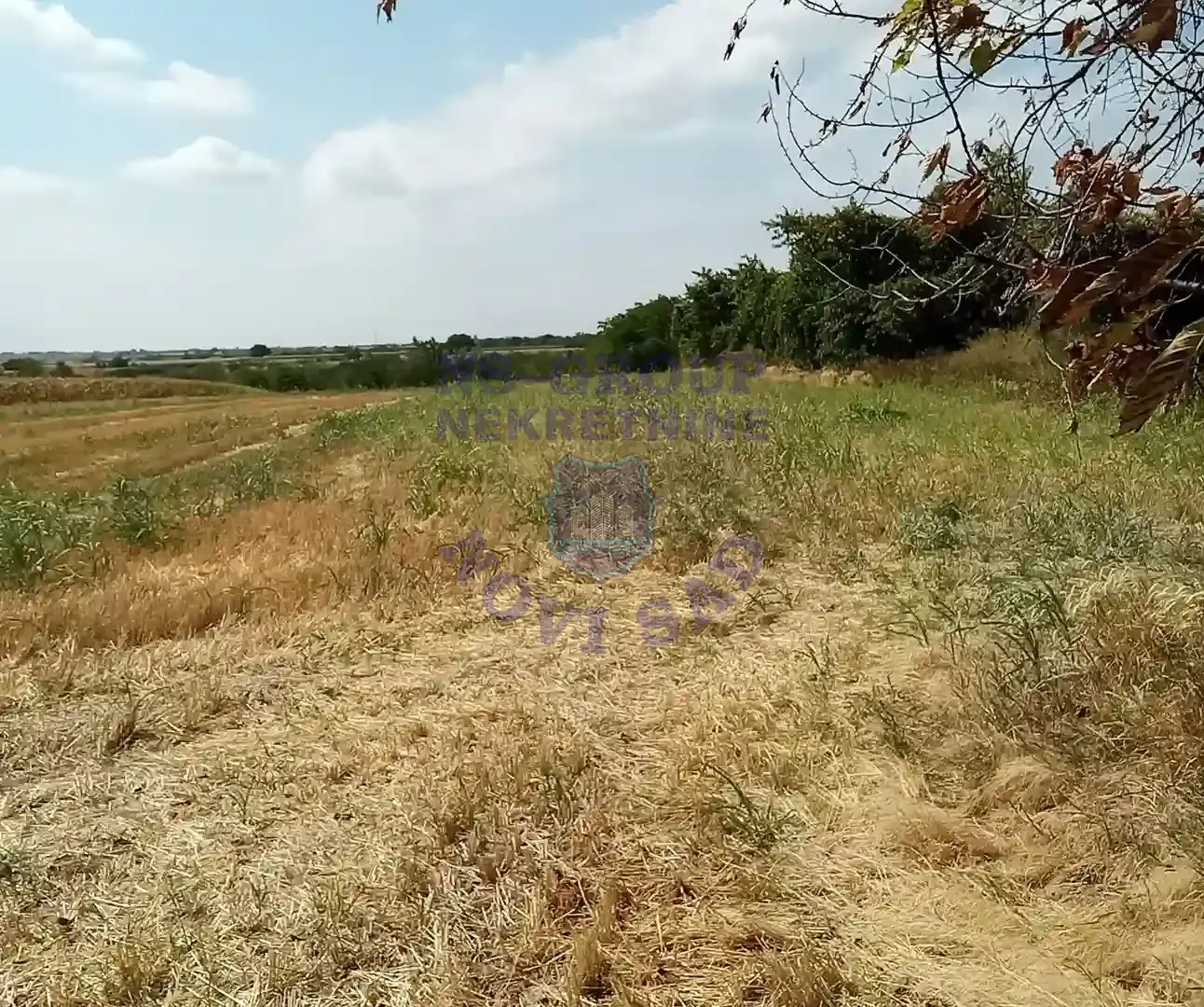 plac na prodaju Vrdnik, 10924m2 524405