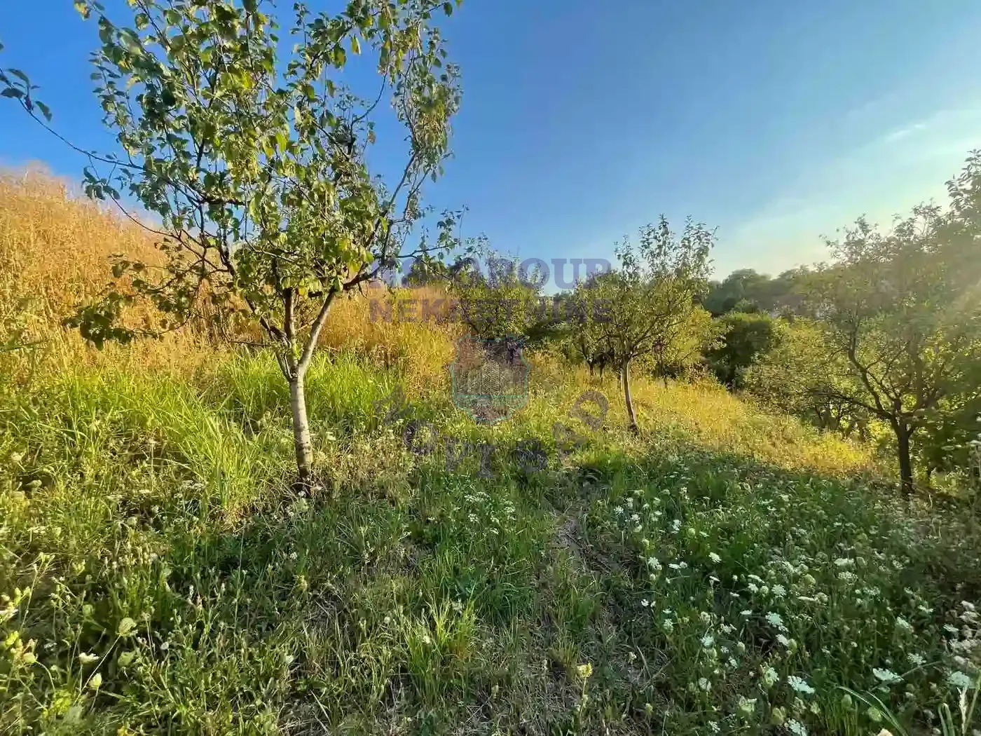 plac na prodaju Bukovac 3423m2 553348