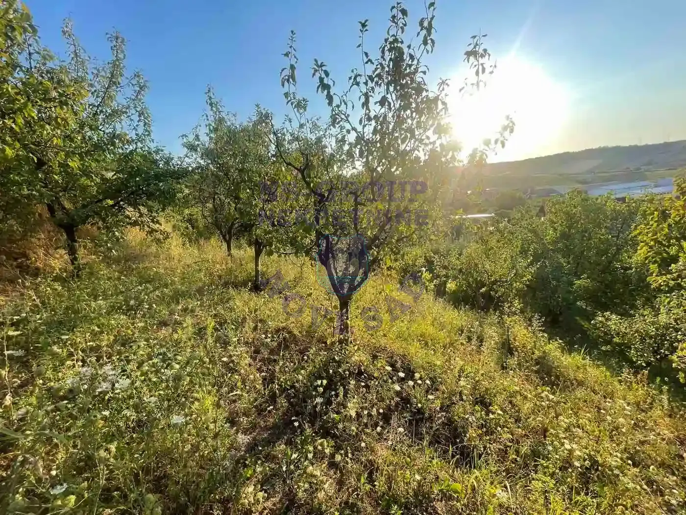 plac na prodaju Bukovac 3423m2 553348