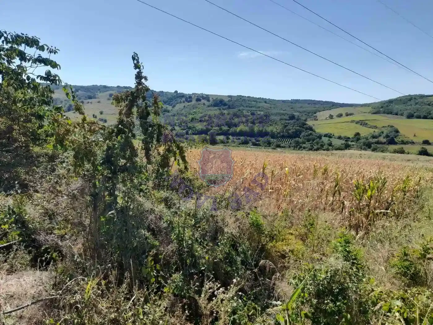 plac na prodaju Čerević 3481m2 553772