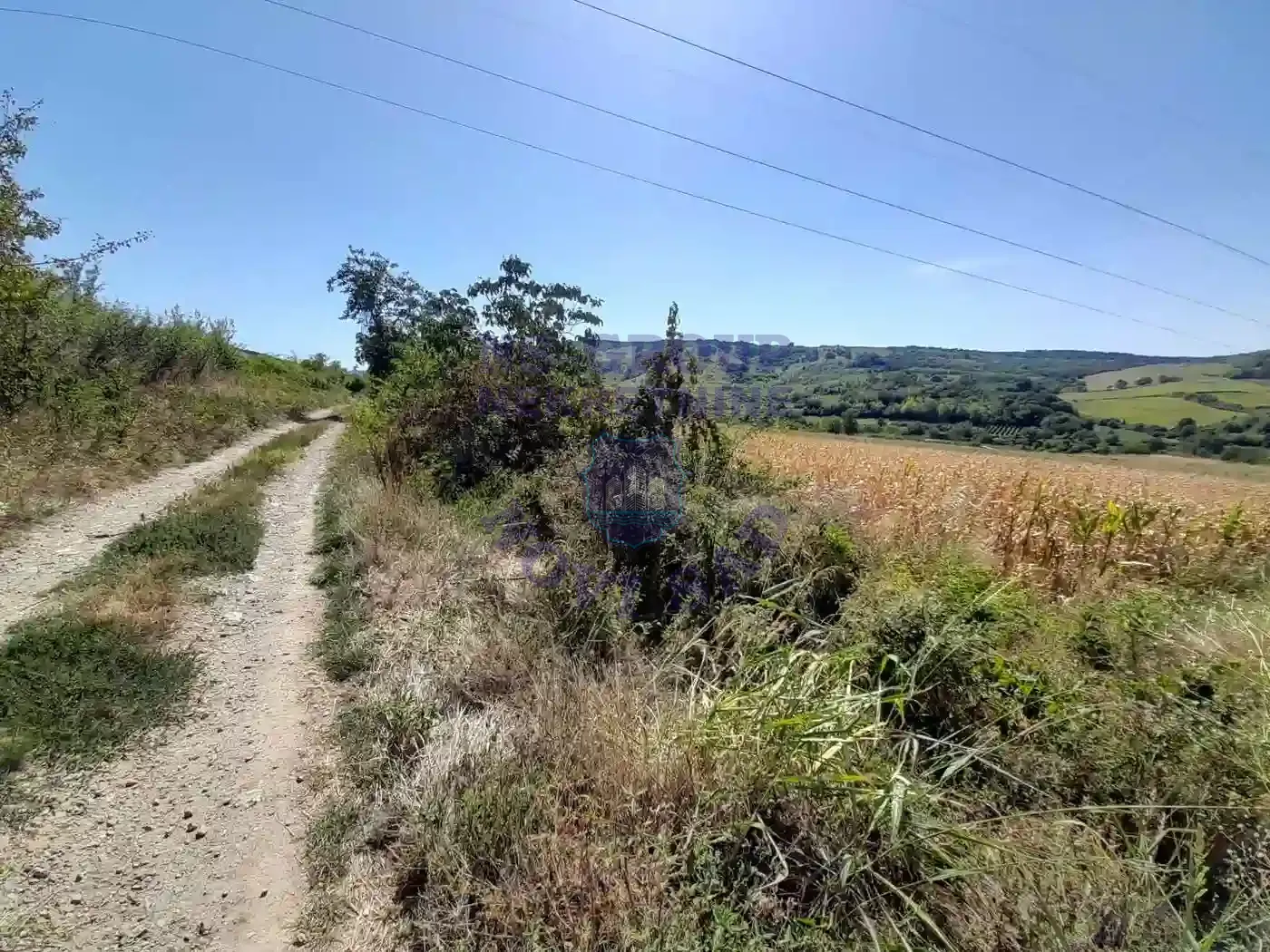 plac na prodaju Čerević 1660m2 553780