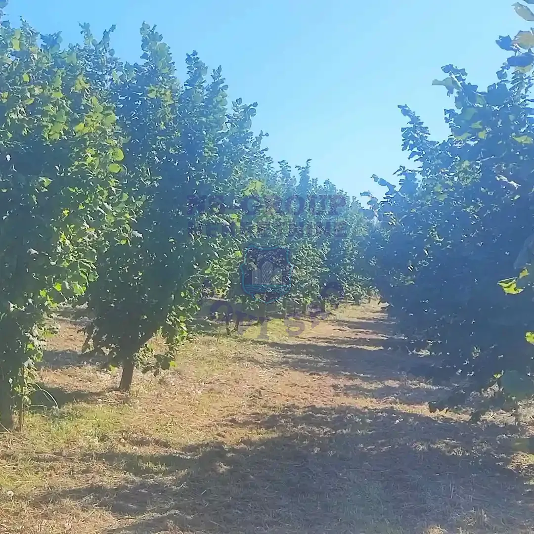 plac na prodaju Susek, 13371m2 553778