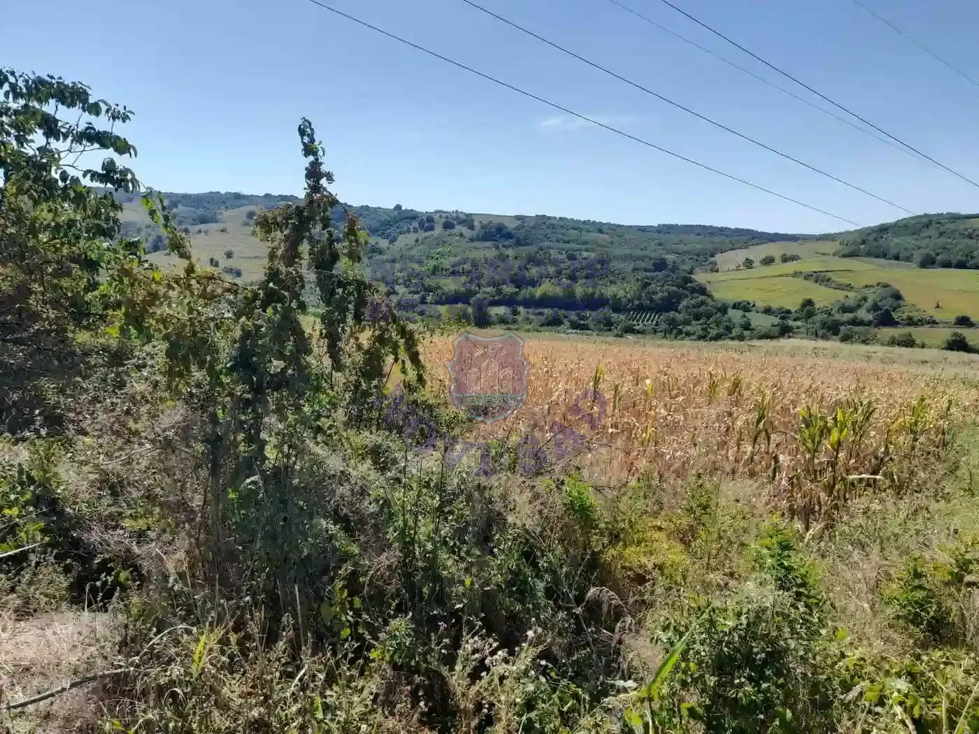 plac na prodaju Čerević 2208m2 553767