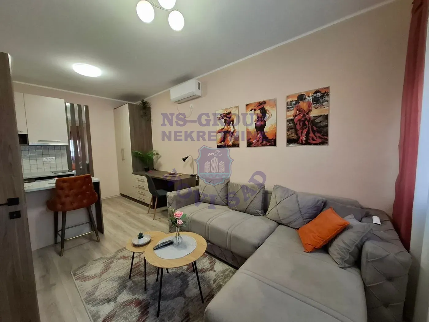 stan na prodaju Novi Sad, 26m2 554057