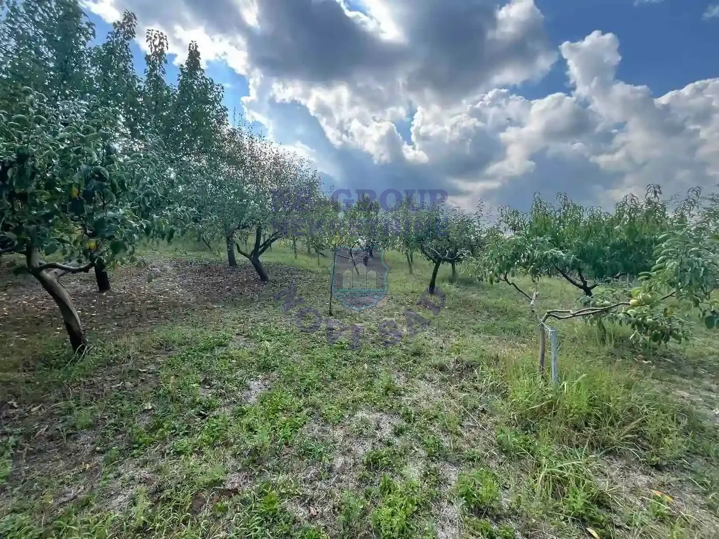 plac na prodaju Petrovaradin 1418m2 554618