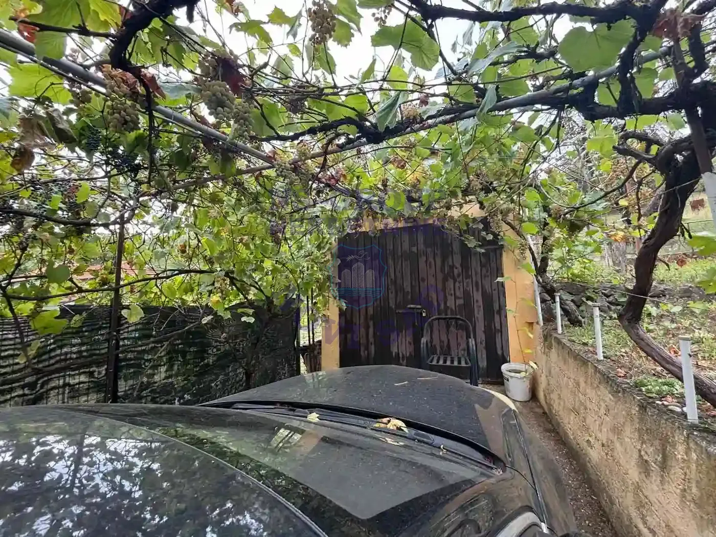 kuca na prodaju Sremski Karlovci 110m2 554733