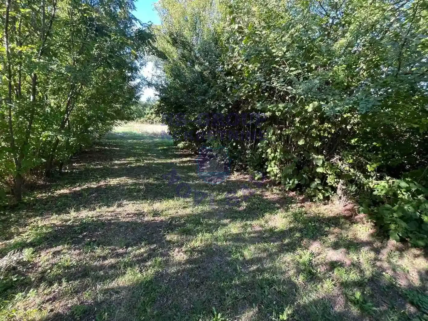 plac na prodaju Čenej 5485m2 554233
