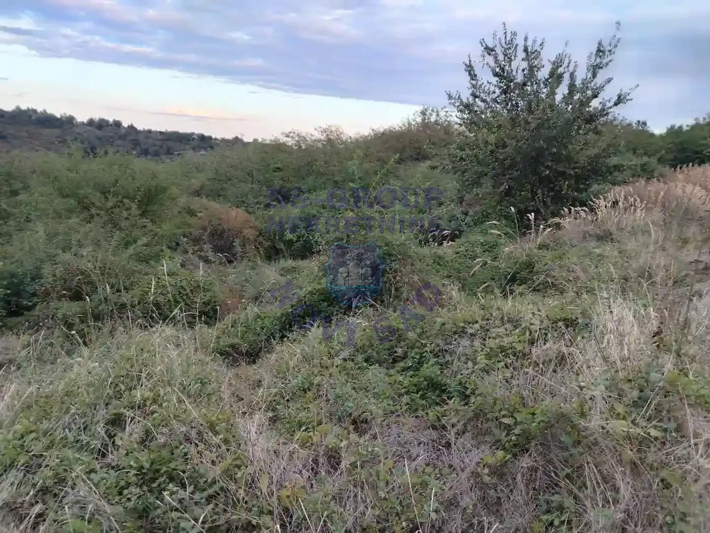 plac na prodaju Krušedol, 3050m2 555224