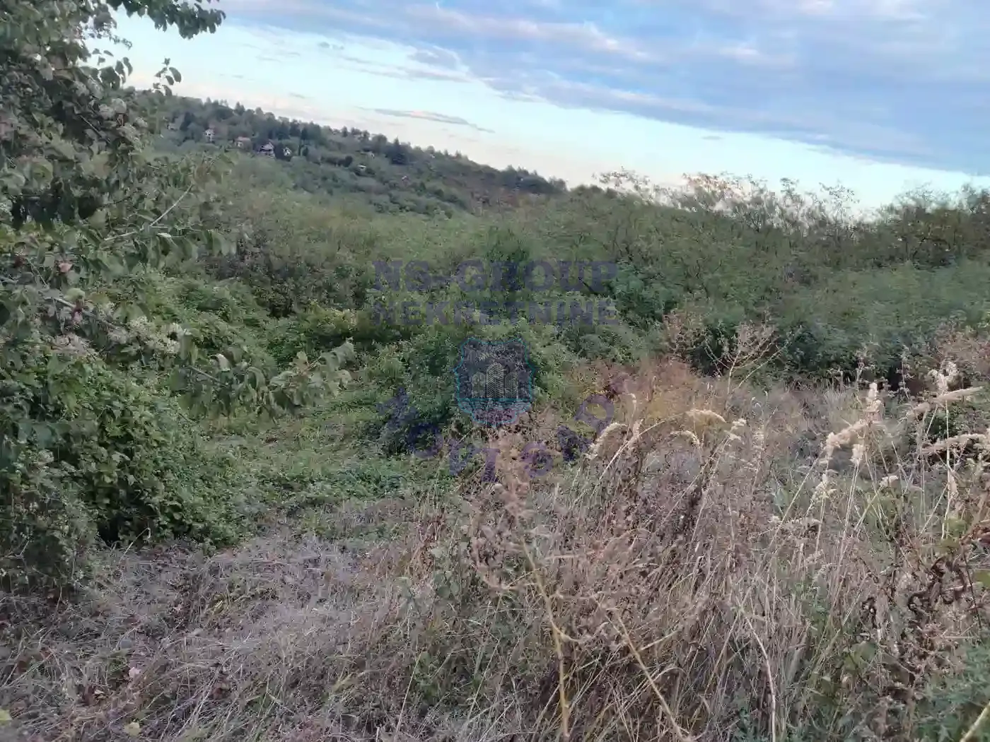 plac na prodaju Krušedol, 2421m2 555223