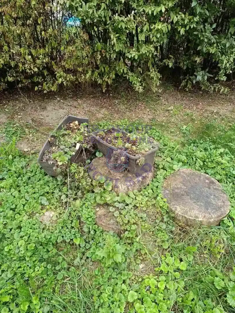 kuca na prodaju Vrdnik 102m2 555918