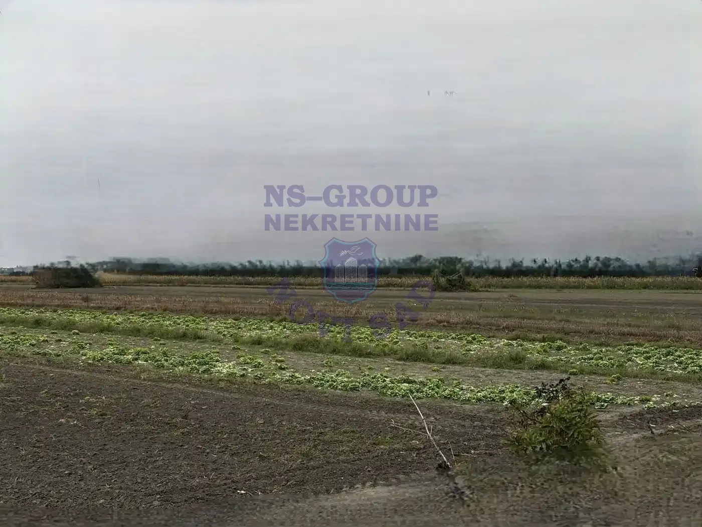 plac na prodaju Novi Sad, 6512m2 556082