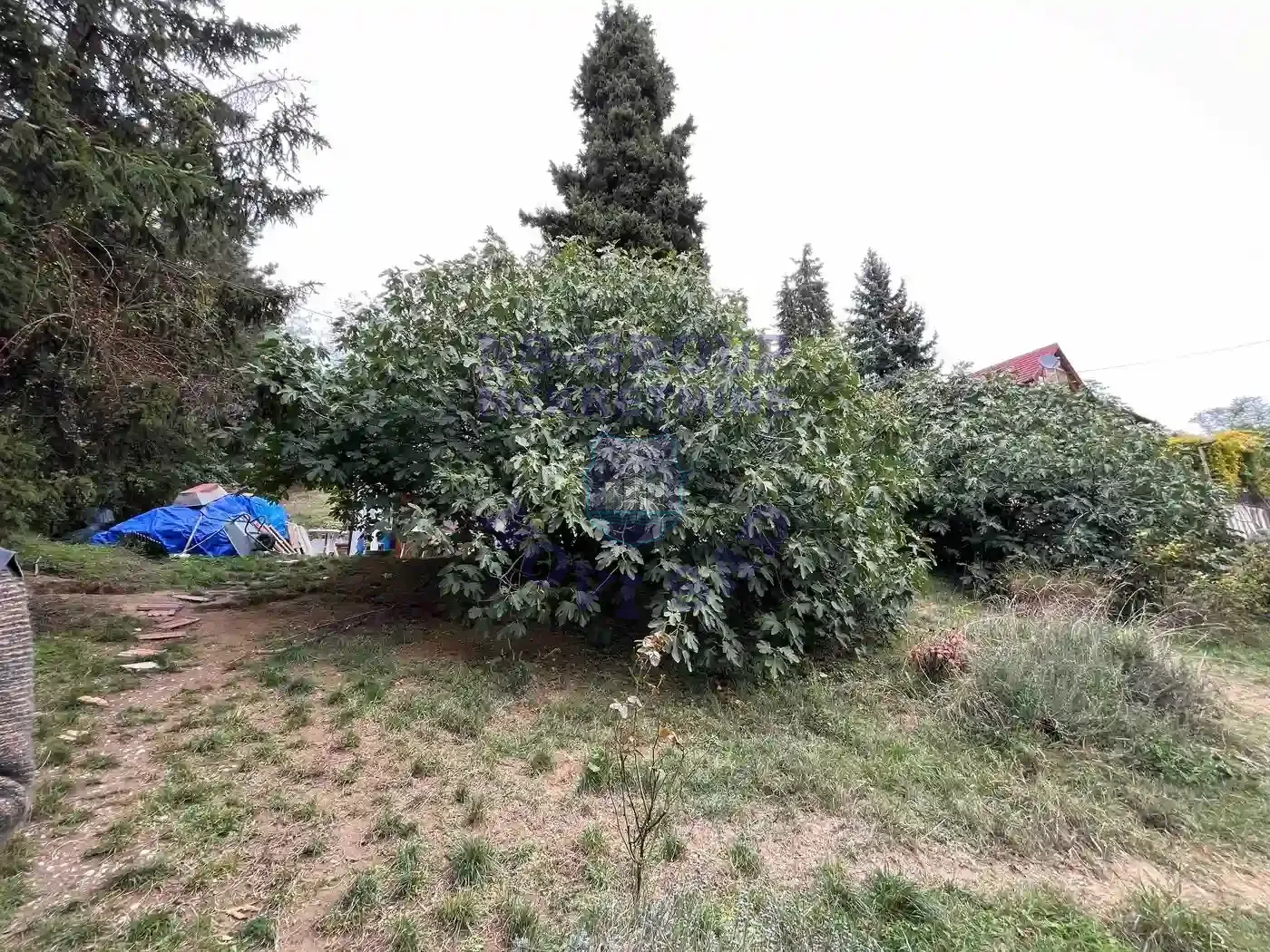 kuca na prodaju Irig 46m2 556470
