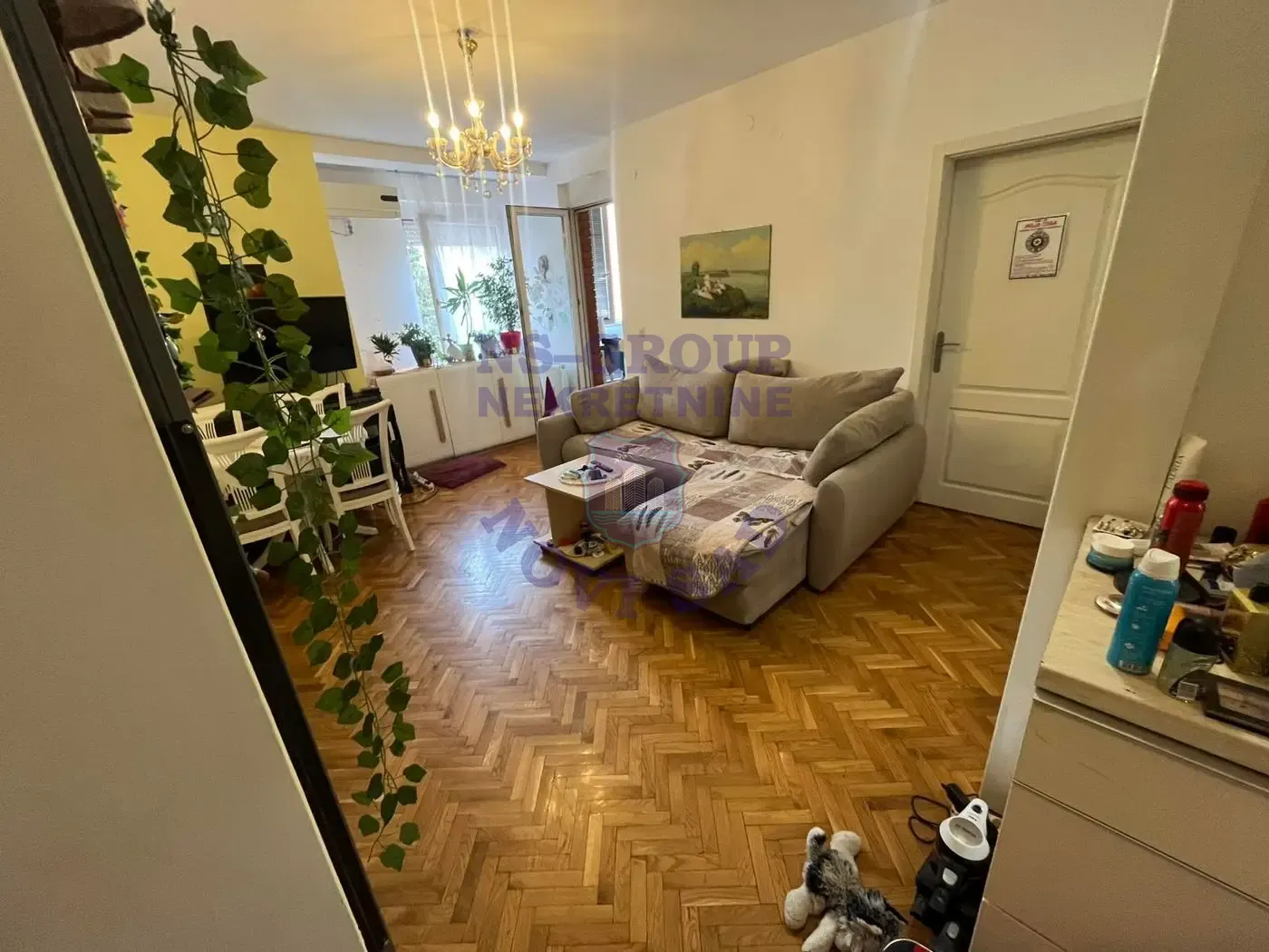 stan na prodaju Novi Sad, 44m2 556717