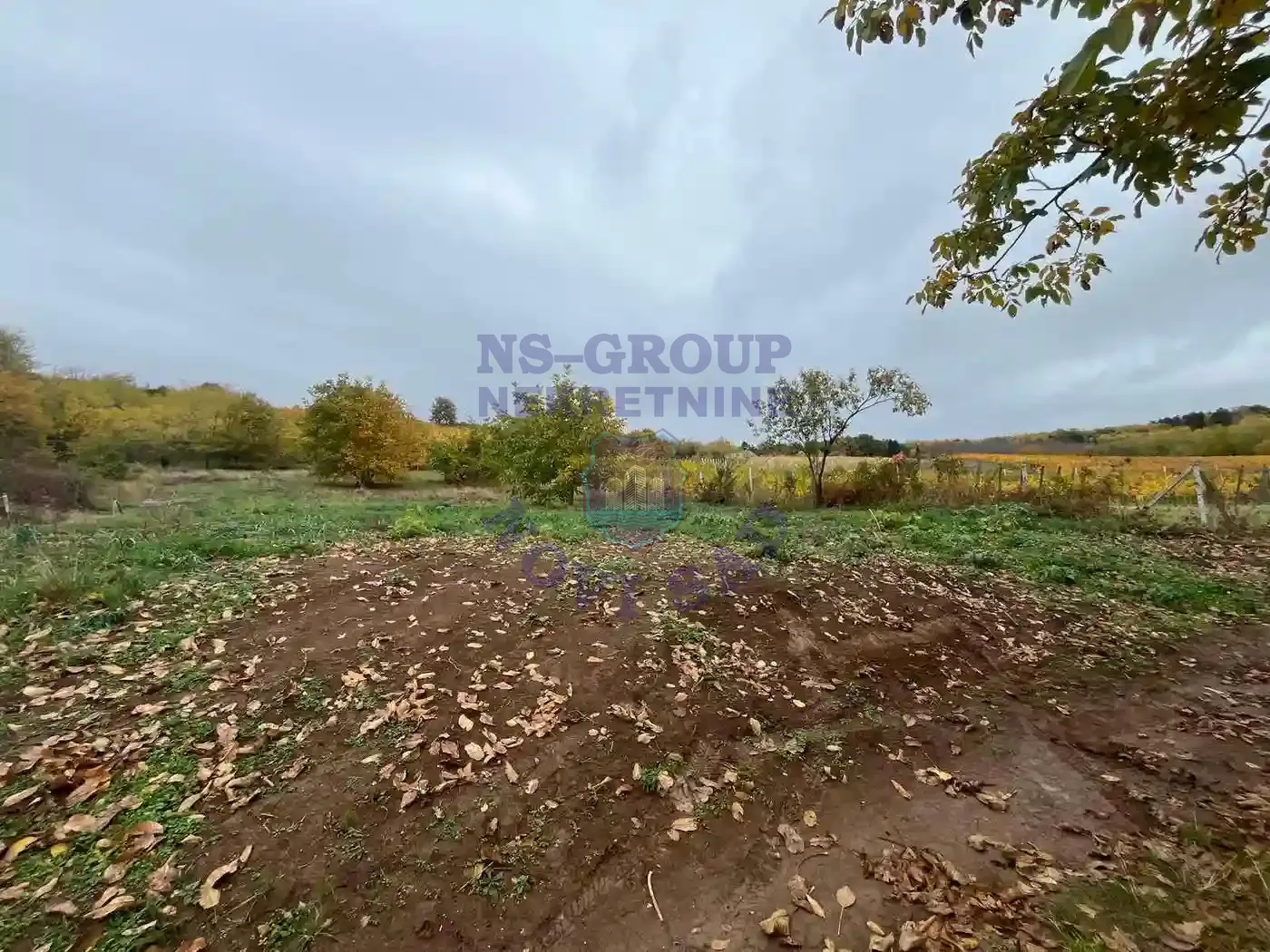 plac na prodaju Vrdnik 1546m2 557649