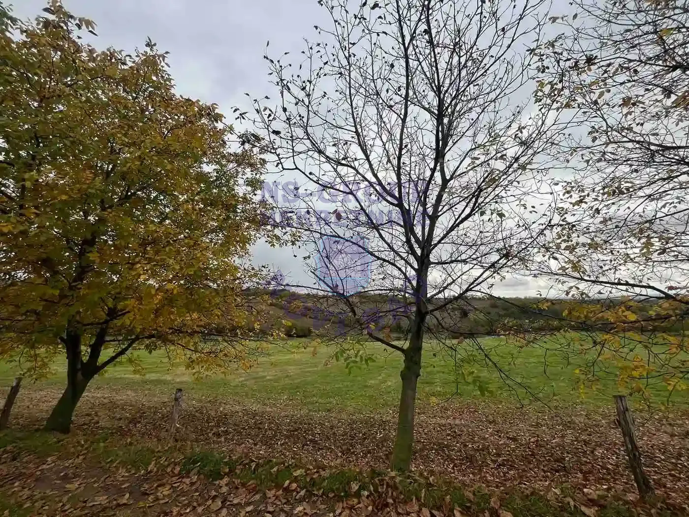 plac na prodaju Vrdnik 1546m2 557649