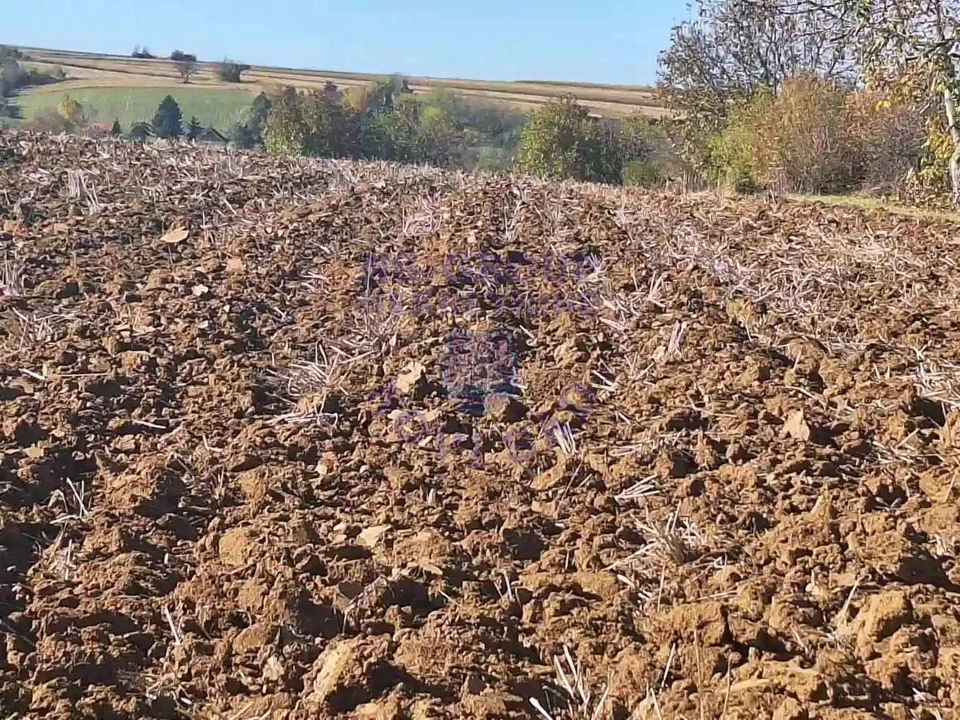 plac na prodaju Banoštor, 2185m2 528366