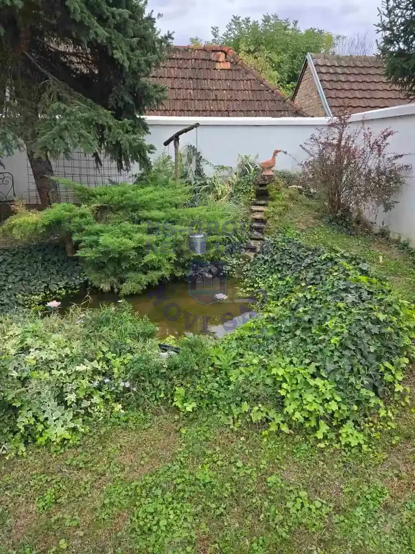 kuca na prodaju Novi Sad 297m2 555354