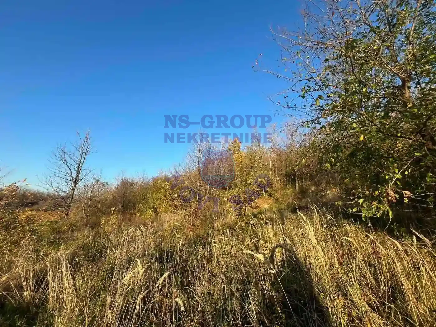 plac na prodaju Sremska Kamenica, 7365m2 538355