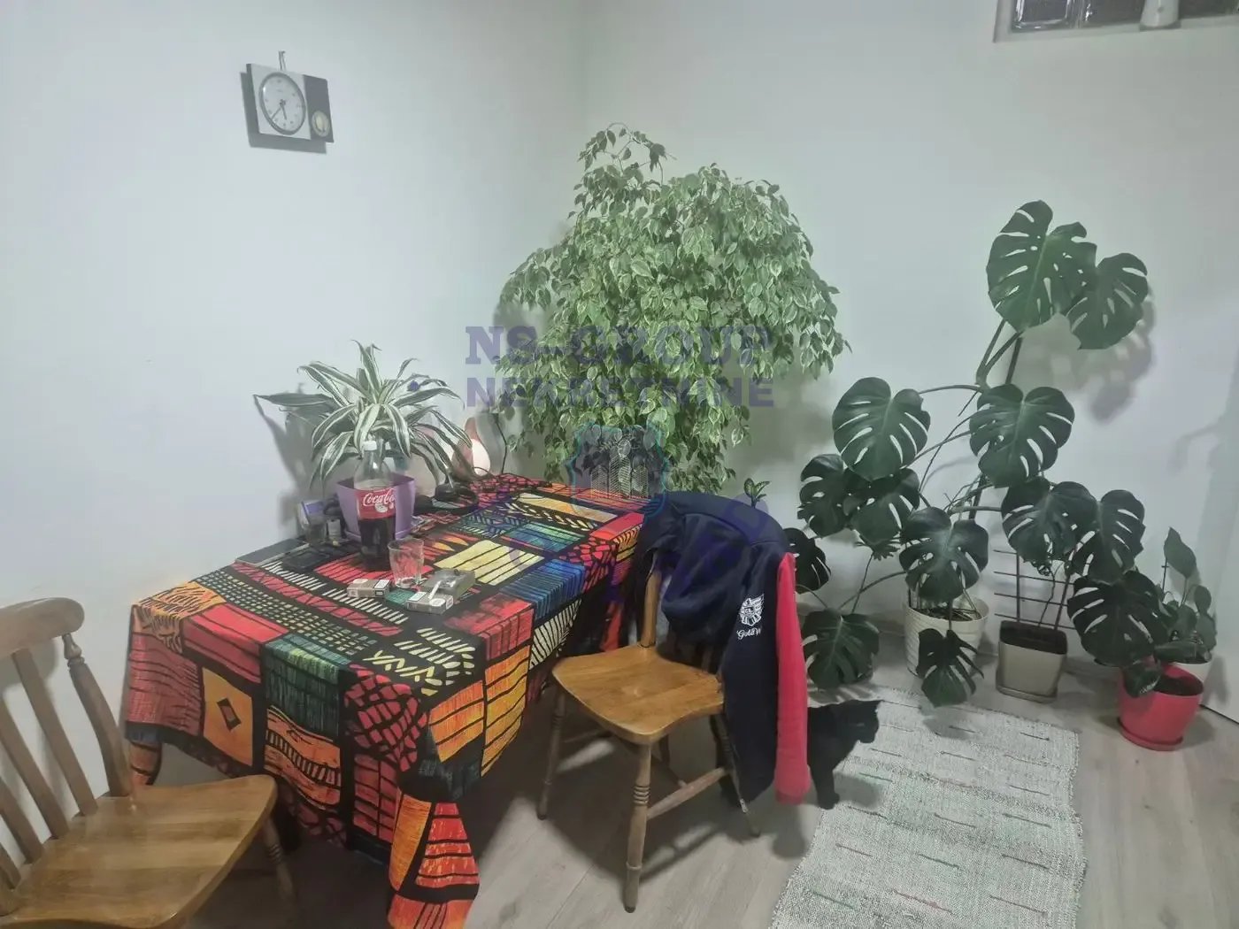 stan na prodaju Novi Sad, 51m2 559056