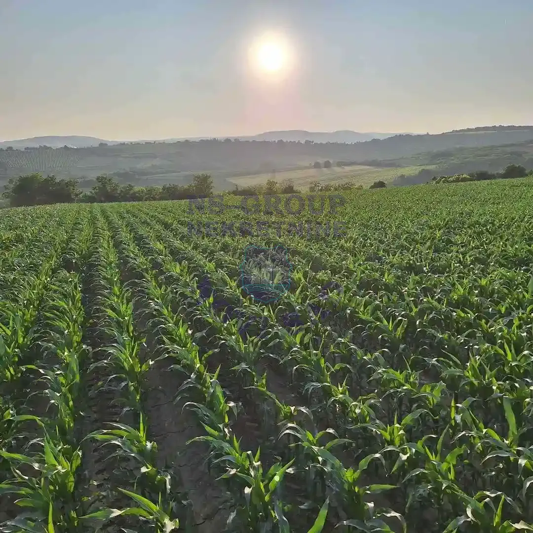 plac na prodaju Irig, 2079m2 558118