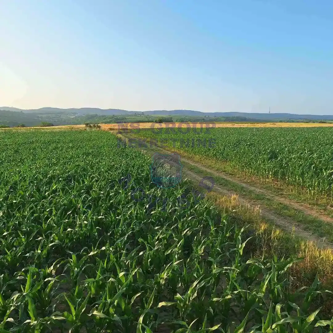 plac na prodaju Irig, 2845m2 557864