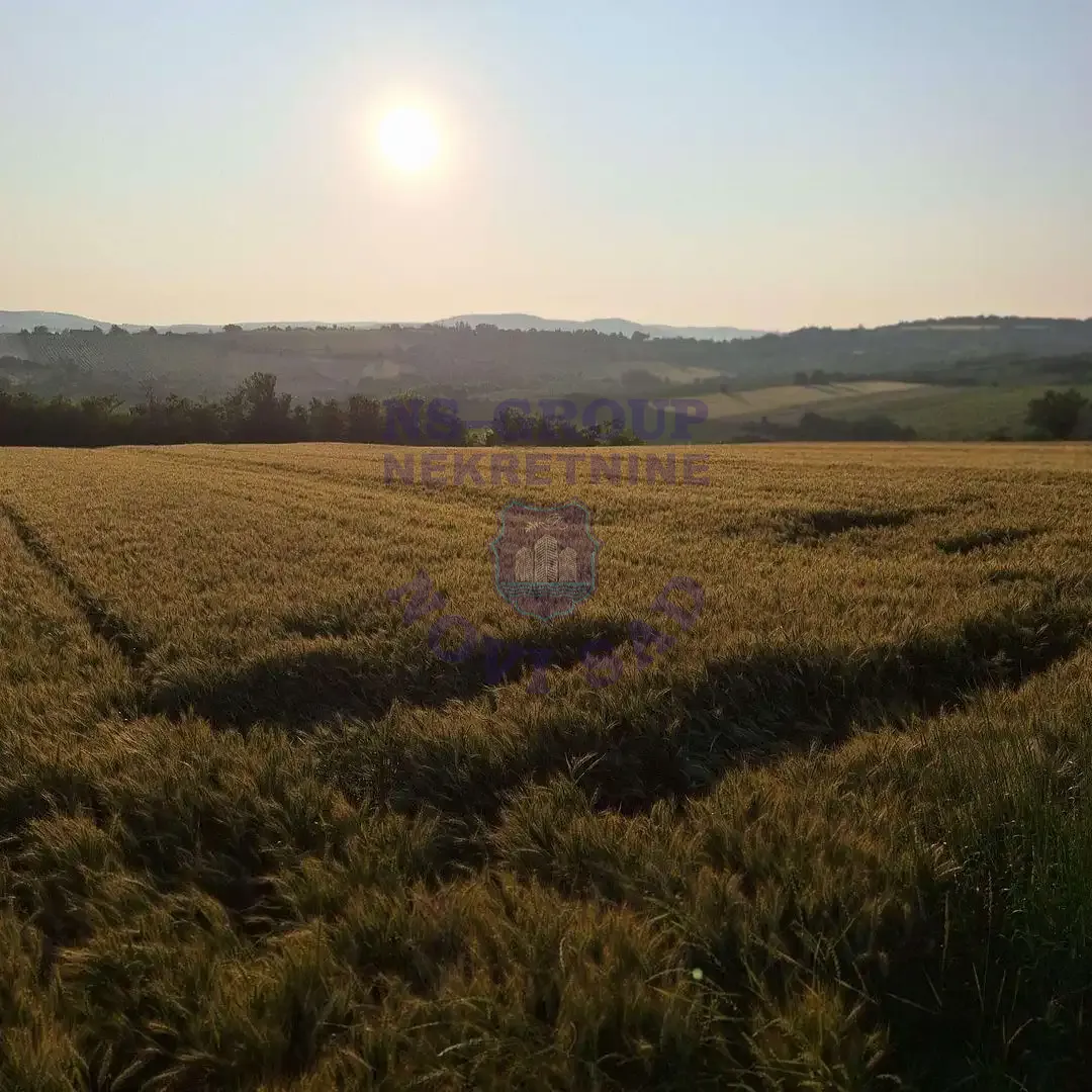 plac na prodaju Irig, 2032m2 557871