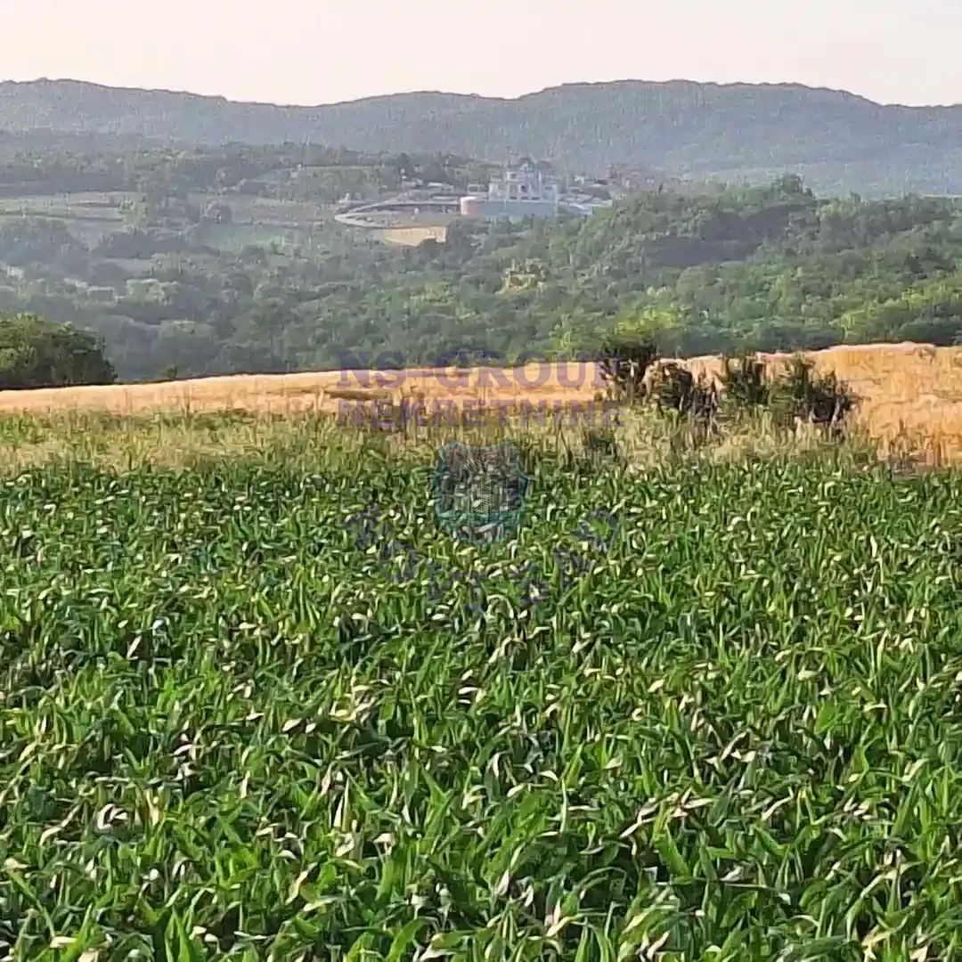 plac na prodaju Irig, 6956m2 557862