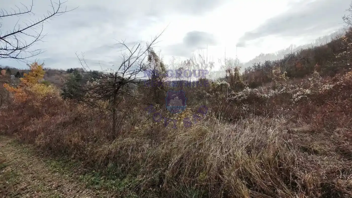 plac na prodaju Sremska Kamenica, 11177m2 549448