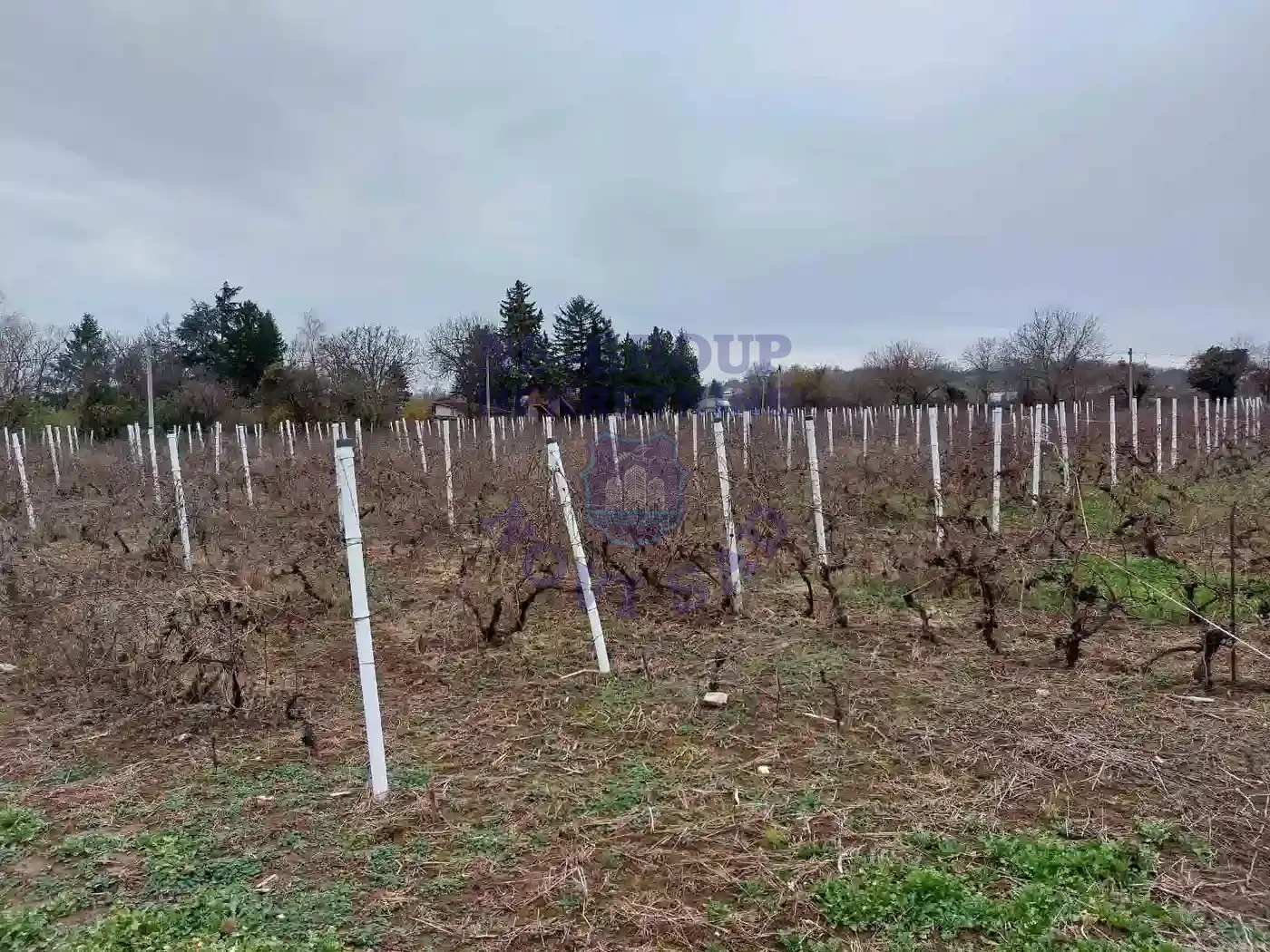 plac na prodaju Petrovaradin 870m2 560615