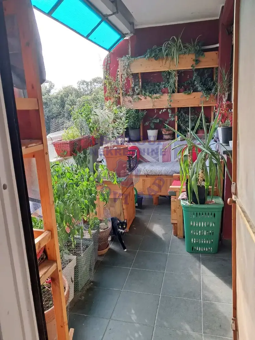 stan na prodaju Novi Sad 81m2 560033