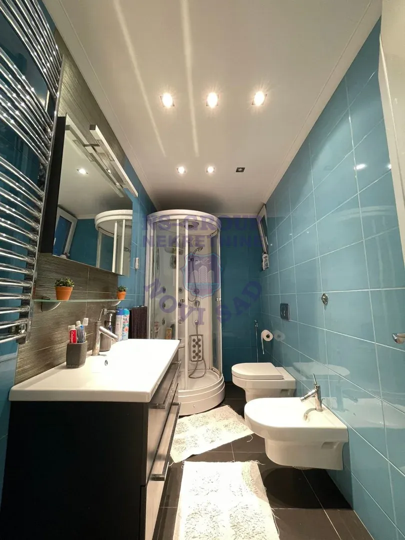 stan na prodaju Novi Sad 310m2 561166
