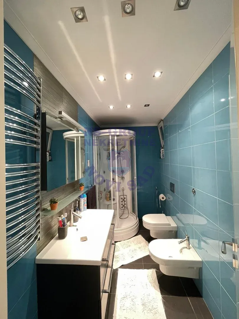 stan na prodaju Novi Sad 310m2 561166