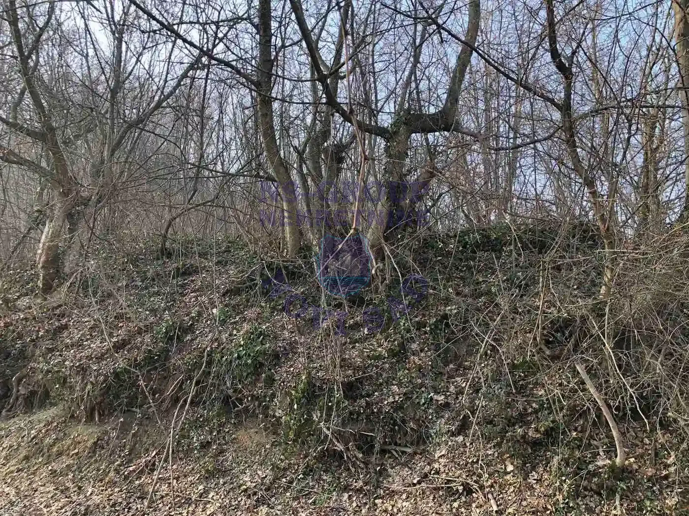 plac na prodaju Beočin, 2587m2 559437