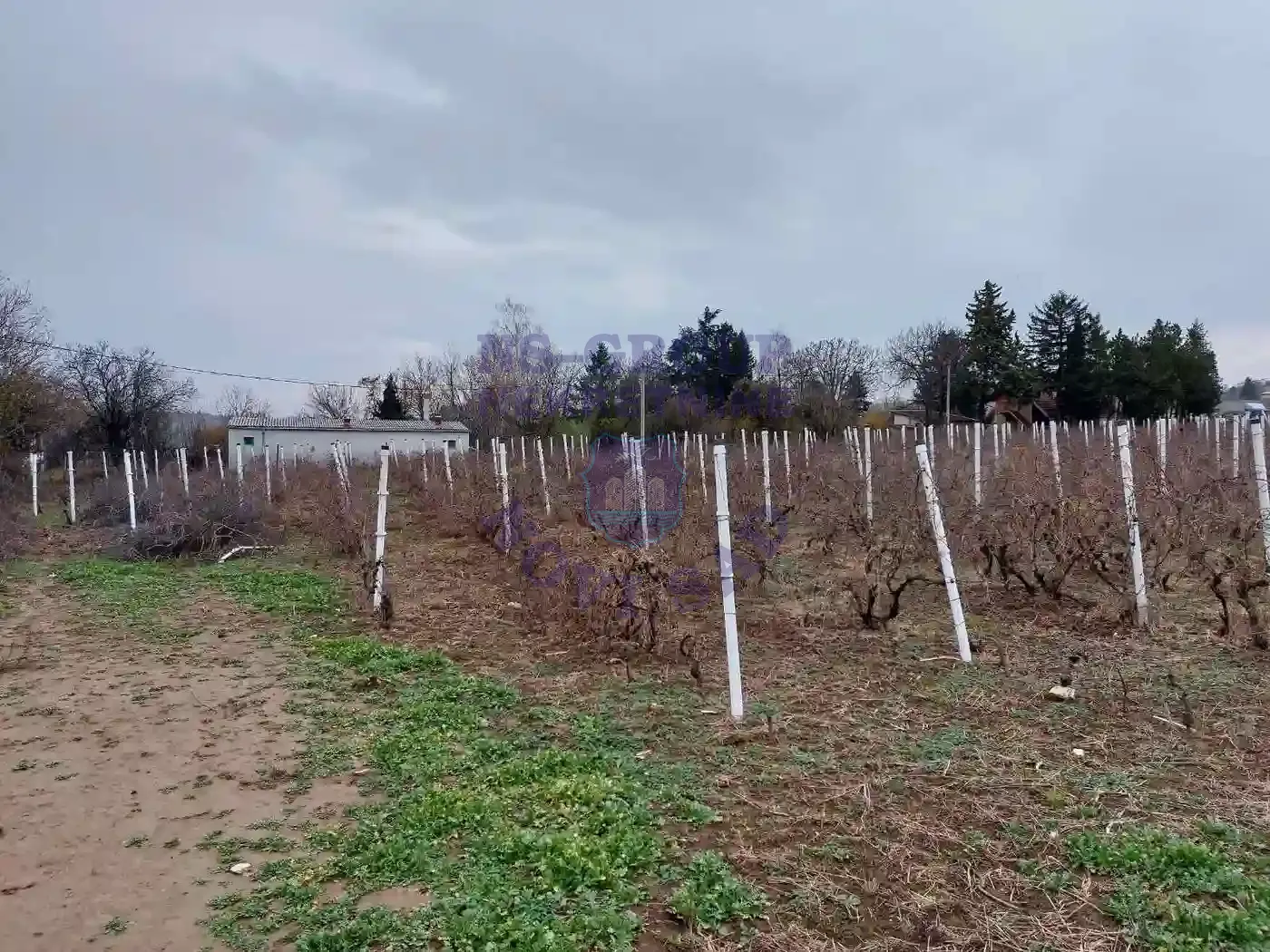 plac na prodaju Petrovaradin 1010m2 560613