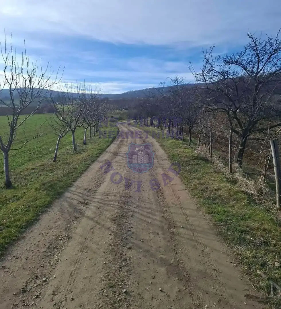 plac na prodaju Bukovac 6235m2 563949