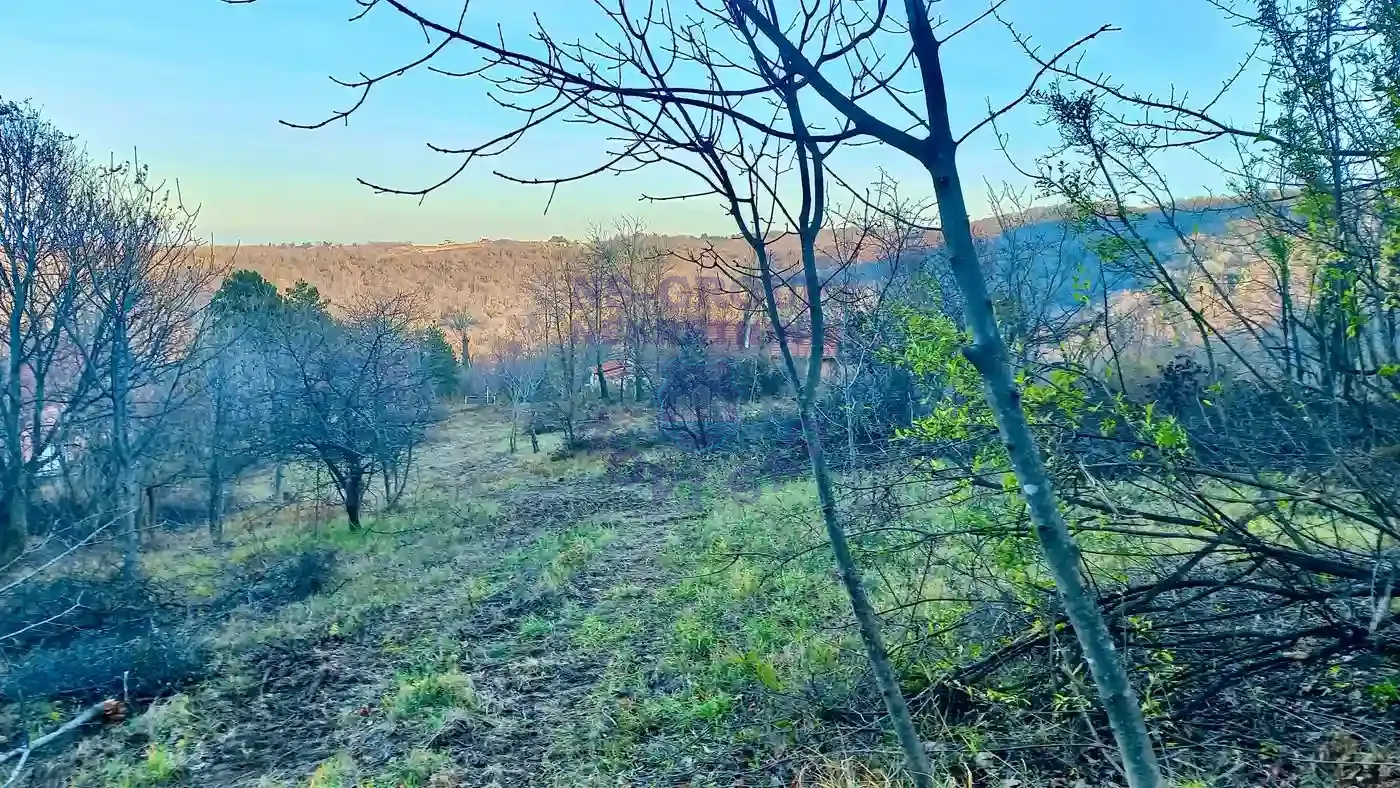 plac na prodaju Sremska Kamenica, 2951m2 565524