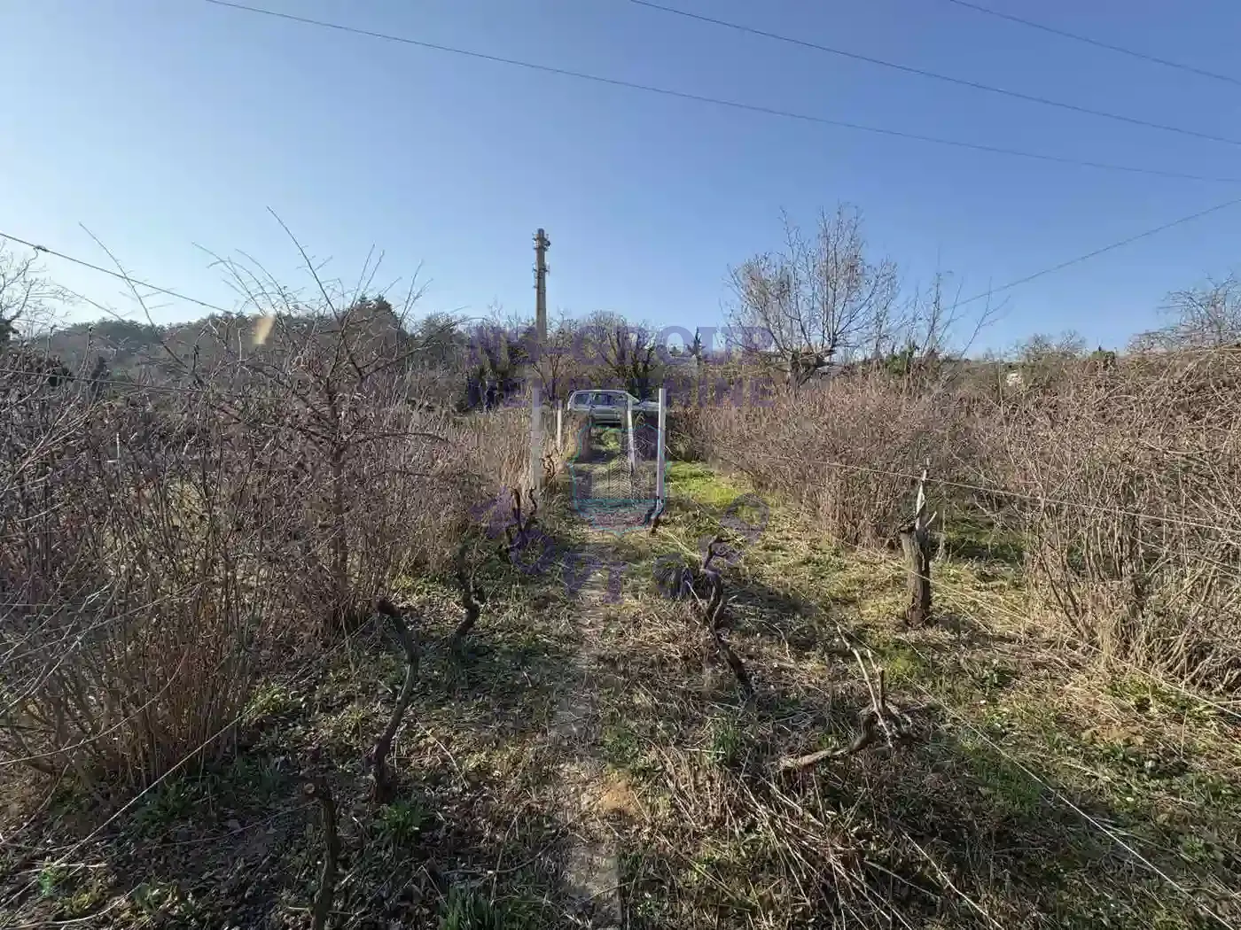 plac na prodaju Petrovaradin, 1231m2 565290