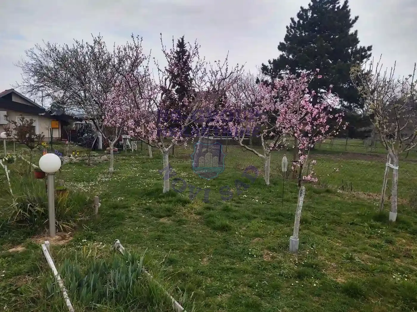 kuca na prodaju Sremski Karlovci 100m2 566761
