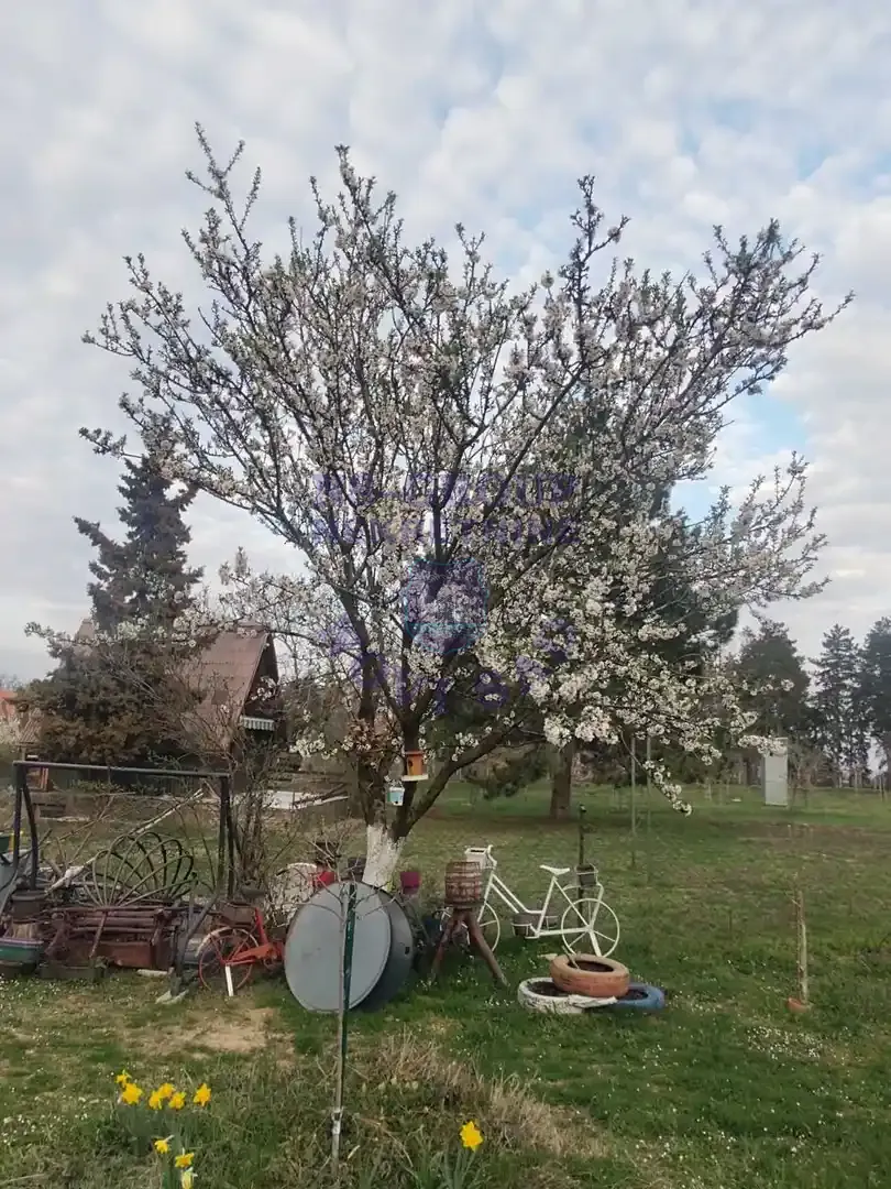 kuca na prodaju Sremski Karlovci 100m2 566761
