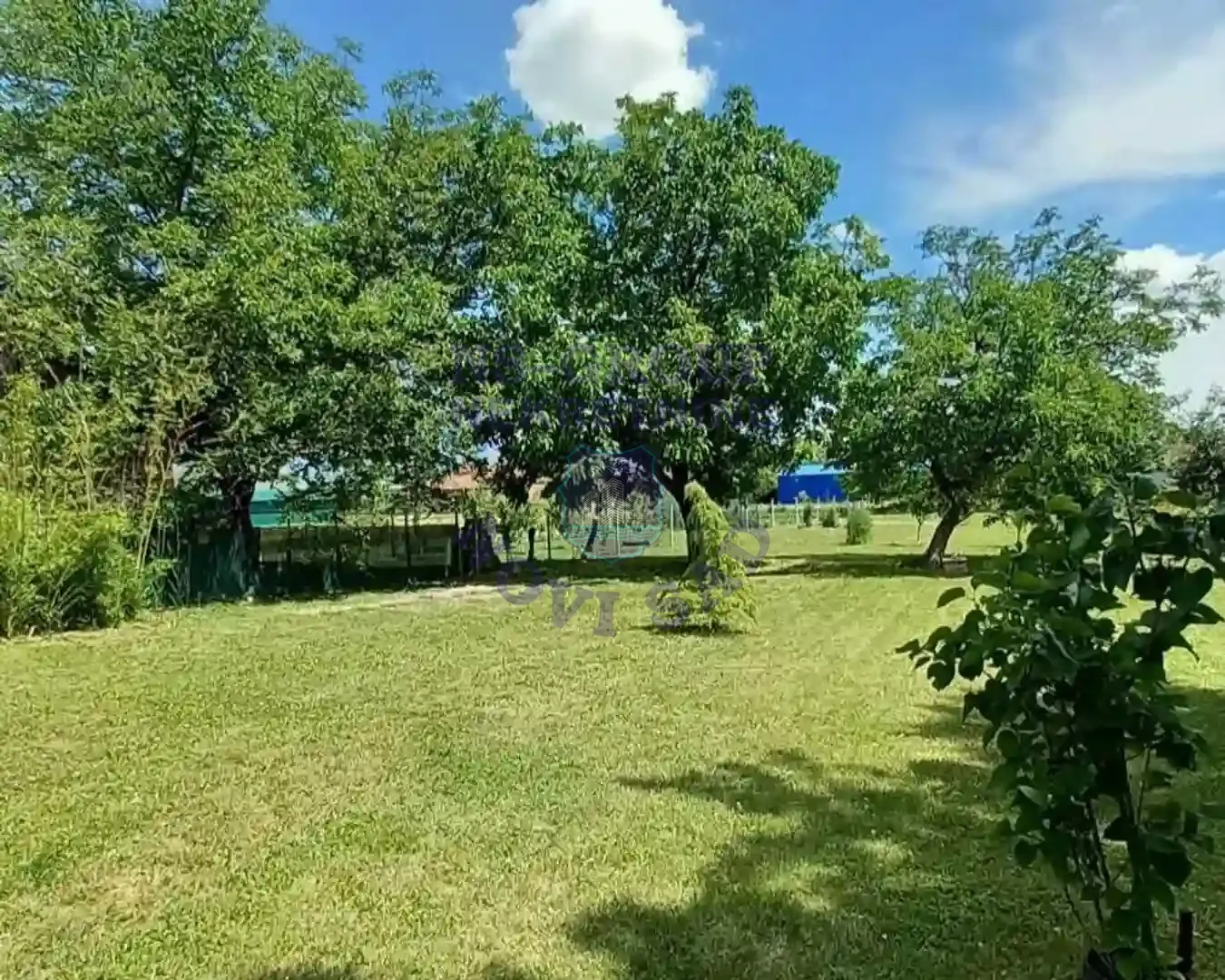 kuca na prodaju Bački Petrovac 132m2 553097