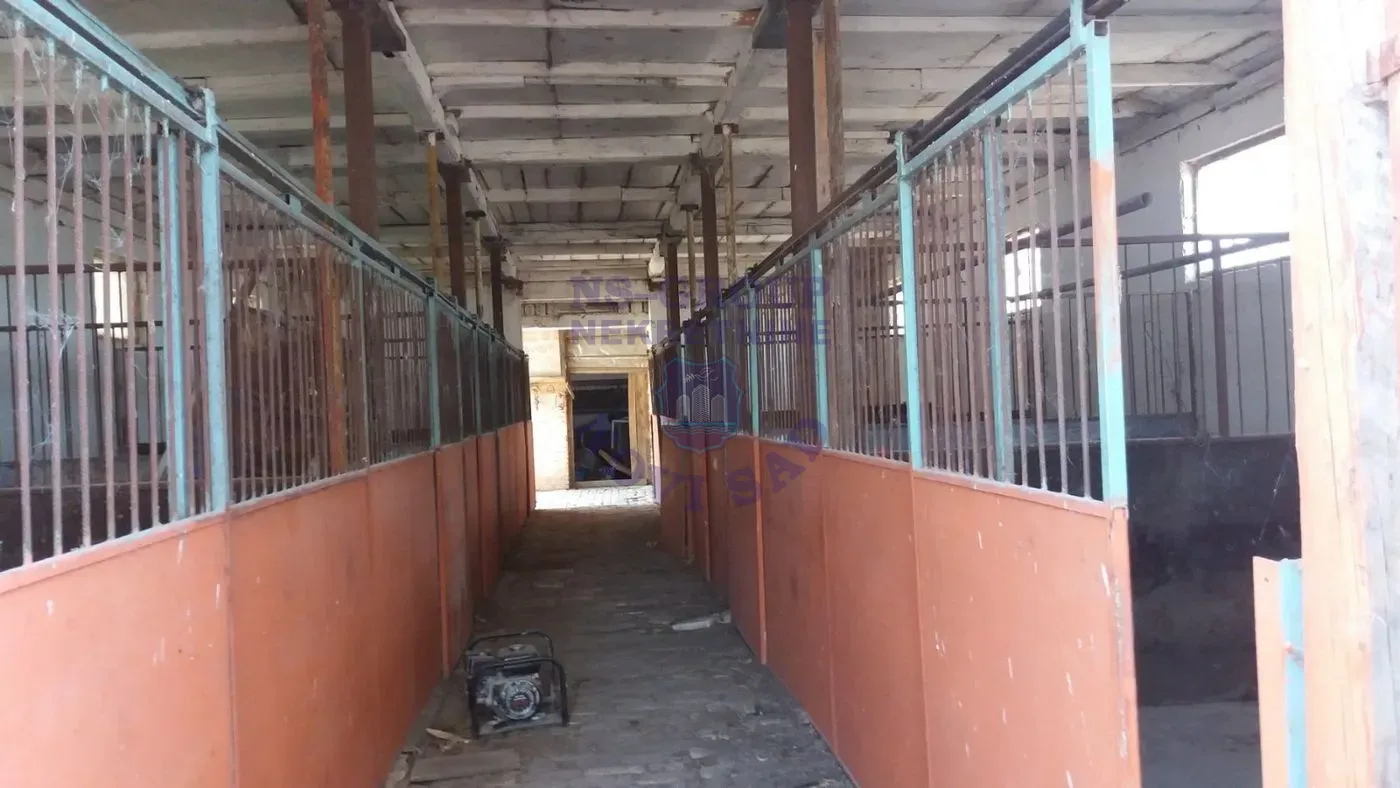 kuca za izdavanje Kisač 108m2 15983