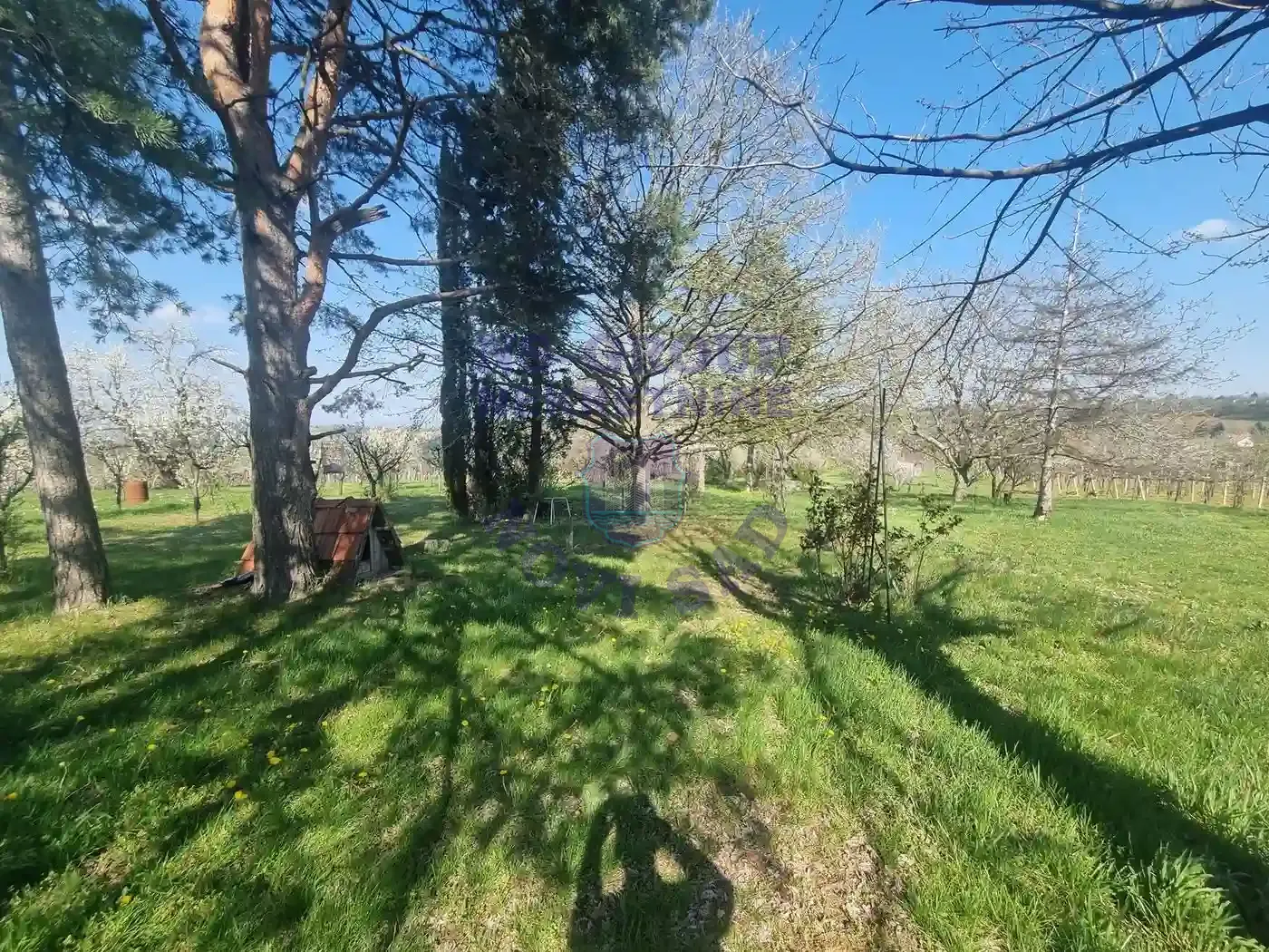 Plac na prodaju Sremski Karlovci 1175m2, 535496