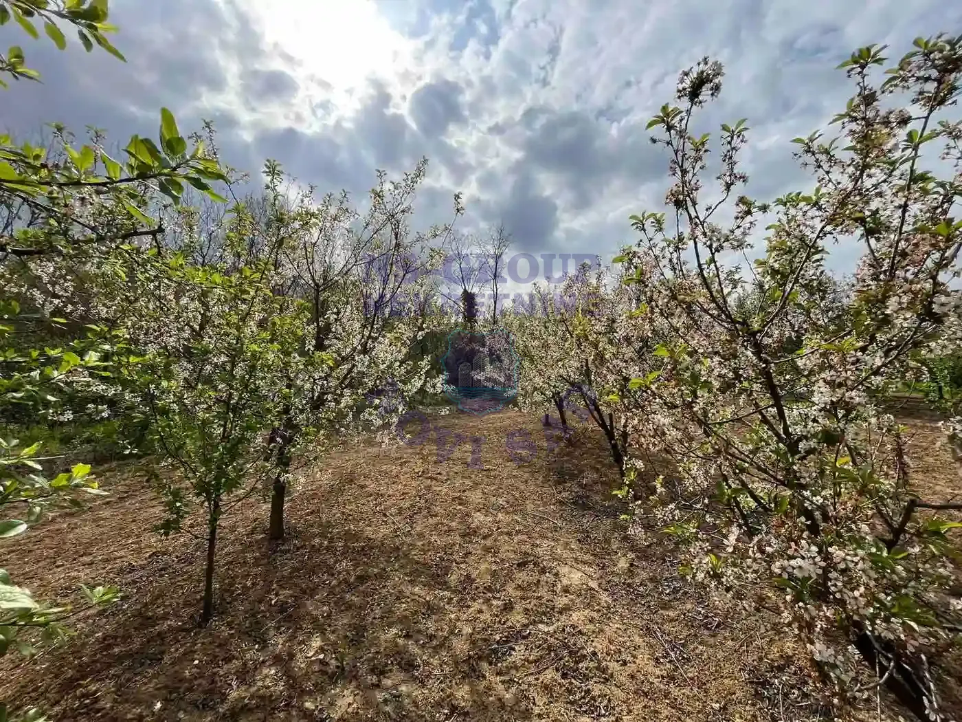 property-card-img-97648